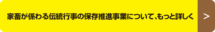 家畜が係わる伝統行事の保存推進事業について、もっと詳しく