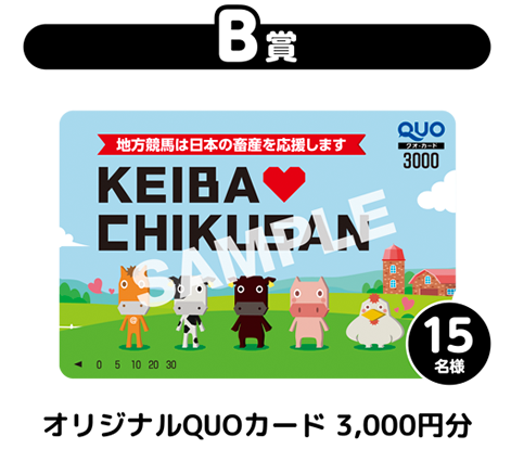 B賞オリジナルQUOカード3,000円分