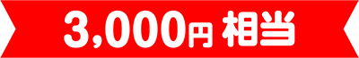 3000円相当