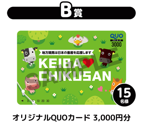 B賞オリジナルQUOカード3,000円分