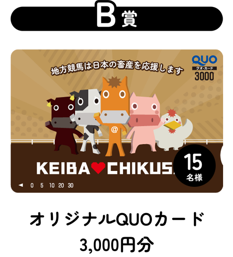 B賞オリジナルQUOカード3,000円分
